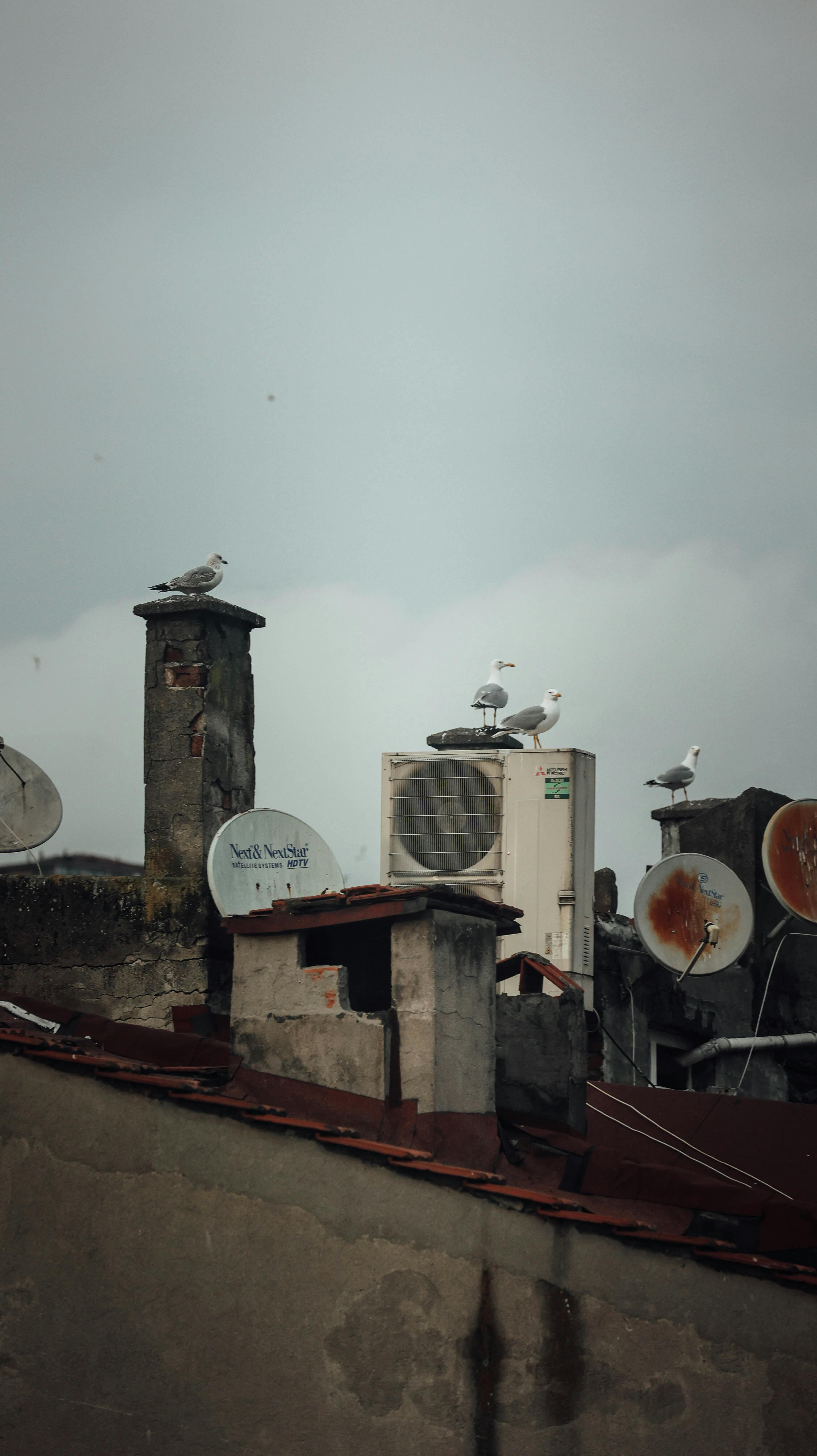 Tackling Florida's Pre-Summer HVAC Needs